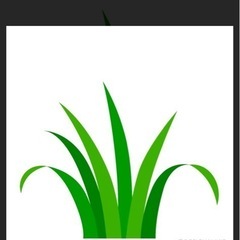 庭の草引き