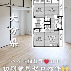 【大分市 中戸次】3DK 💓🐕ペット相談可🐈💓【初期費用ゼ…