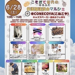 保護猫譲渡会