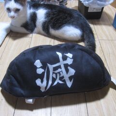 鬼滅の刃　ティッシュカバー