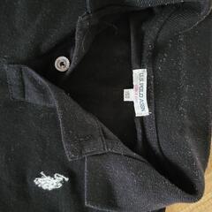 POLOのTシャツの画像