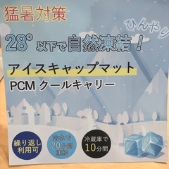 帽子　保冷剤　頭　冷やす　熱中症の画像