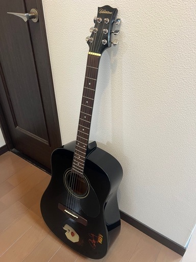 Silvertone PSD1  アコースティックギター