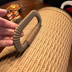 ペットキャリーケースの画像
