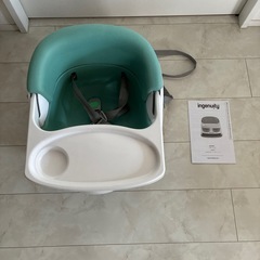 インジェニュイティ(Ingenuity) ベビーチェア　ミストグリーン