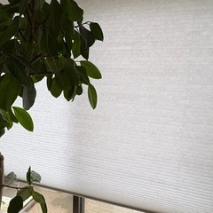 【至急】ブラインド　ホワイト定価3万