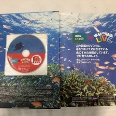 学研の図鑑LIVE 魚　DVD付の画像