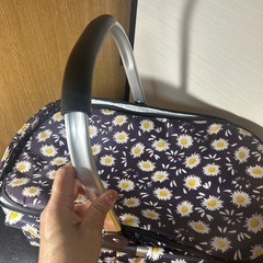 エコバッグ　保冷バックの画像