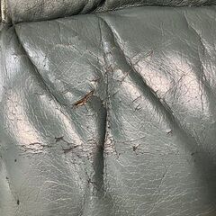 ソファ　3人掛け　革　中古の画像
