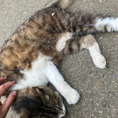 探してる方いますか？