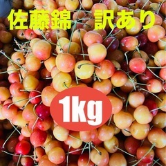 お取引成立！さくらんぼ　佐藤錦　訳あり　1kg  最後の一品