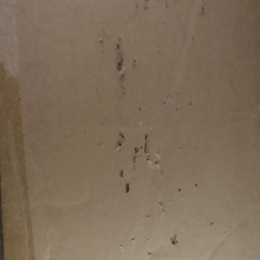 お値下げしました。ドッペルギャンガースノースクーターの画像