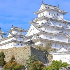 ✈️往復航空券✈️沖縄→神戸❗️ 3名分
の画像