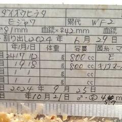 ダイオウヒラタクワガタ78.5mm ペアの画像