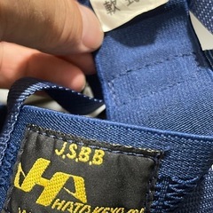 ハタケヤマ　キャッチャーマスクの画像