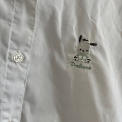 ぽちゃこの画像