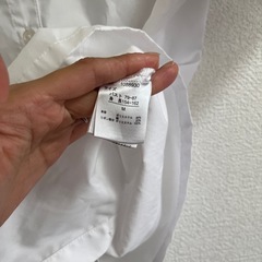 ぽちゃこの画像