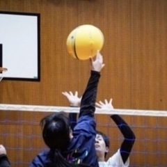 ソフトバレーメンバー募集‼️