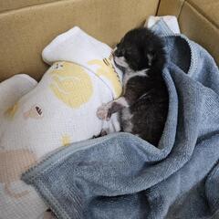 【至急】助けてください 