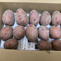 アンディスレッド2kg
