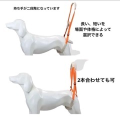 犬の介護用ハーネス リハビリ 歩行訓練 の画像