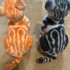猫　ねこ　ネコ　ねこのぬいぐるみ　2つの画像