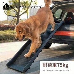 車椅子＆ペット用スロープ（耐荷重75kg）2点セットの画像