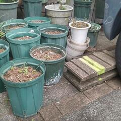 差し上げます　　植木鉢