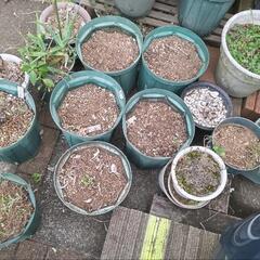 差し上げます　　植木鉢の画像