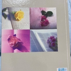 写真アルバム収納　　５冊セットの画像