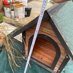 現状渡し　犬小屋の画像