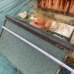 現状渡し　犬小屋の画像