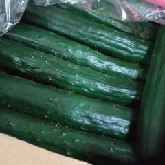 きゅうり🥒1本30円②