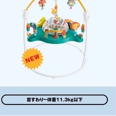 美品  ジャンパルー 子供 おもちゃの画像