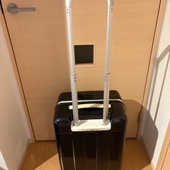 キャリーバッグの画像