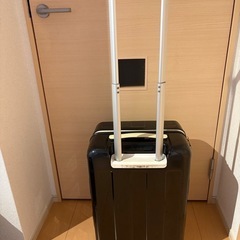 キャリーバッグの画像