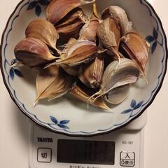 令和7年5月収穫【無農薬・希少種】平戸にんにく100g｜糸島産・すぐ使える乾燥済みの画像