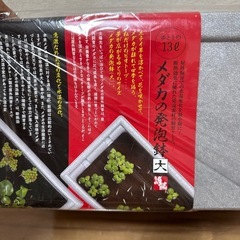 【最終お値下げです】メダカ専用飼育鉢　発泡鉢の画像