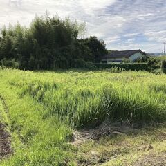 草刈り　宇佐・中津・豊後高田