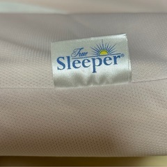 TRUE SLEEPER トゥルー・スリーパー