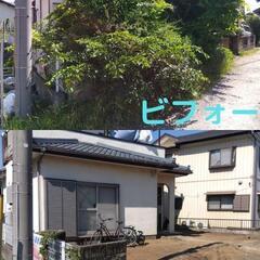   🌲庭木のお悩みを解決！お庭を丸ごとスッキリ伐採の専門家…