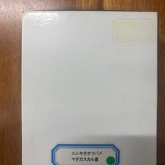 蝶　標本の画像