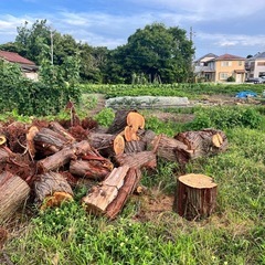 BBQ薪