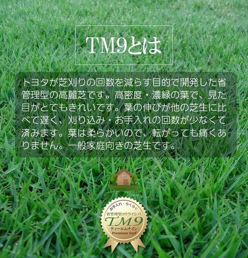 TM9（芝）約20平米分 