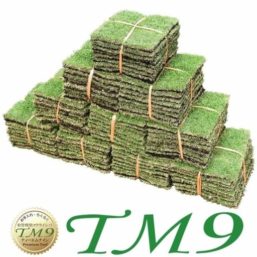 TM9（芝）約20平米分 