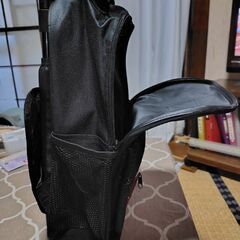 ANIECE HECHTERのキャリーバッグ（未使用）の画像