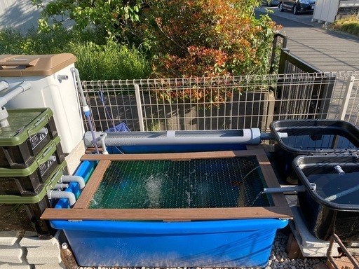 自作　魚 飼育 設備