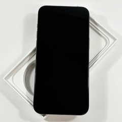 iPhone 15 Pro Max｜1024gb｜SIMフリーの画像