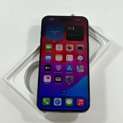 iPhone 15 Pro Max｜1024gb｜SIMフリーの画像