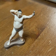 お相撲さんフィギュア　自撮り